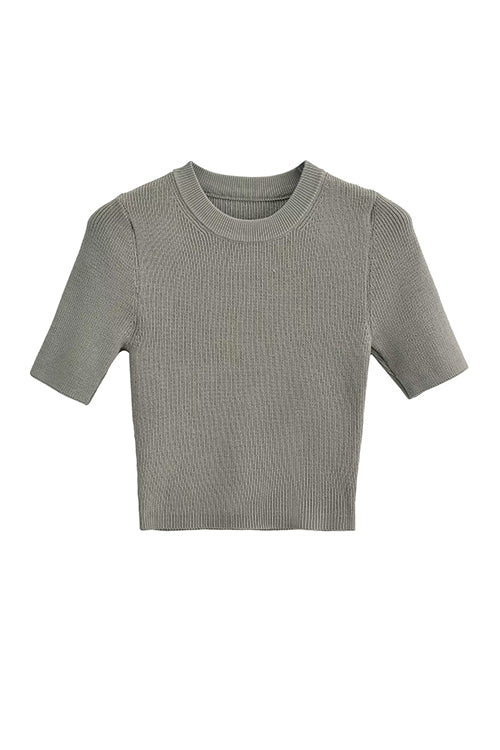 Crewneck Short Sleeves Ribbed Knit Top