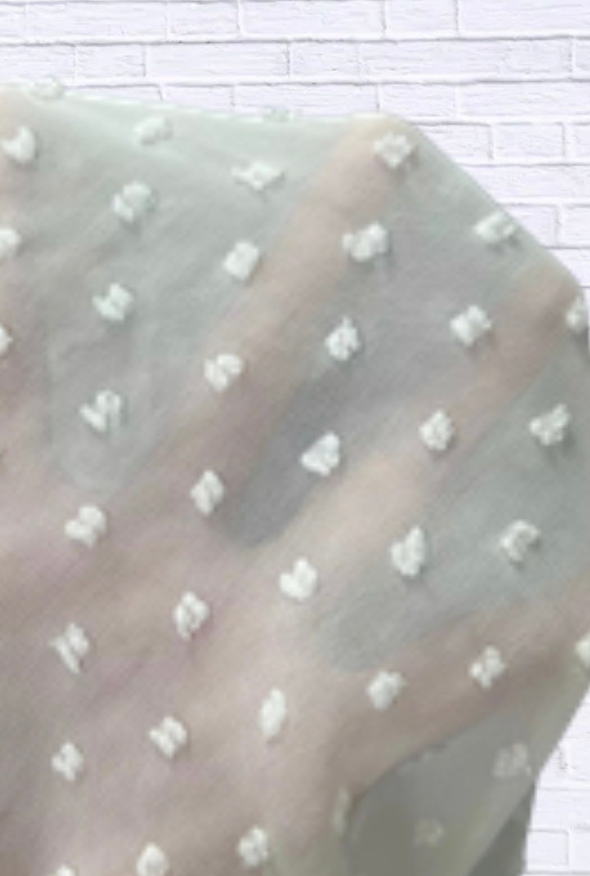 Lace Trimmed Swiss Dot Shirt