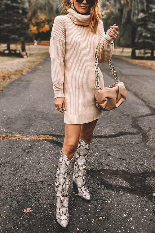 Turtleneck Long Sleeves Ribbed Knit Sweater Dress(in 7 Colors!)