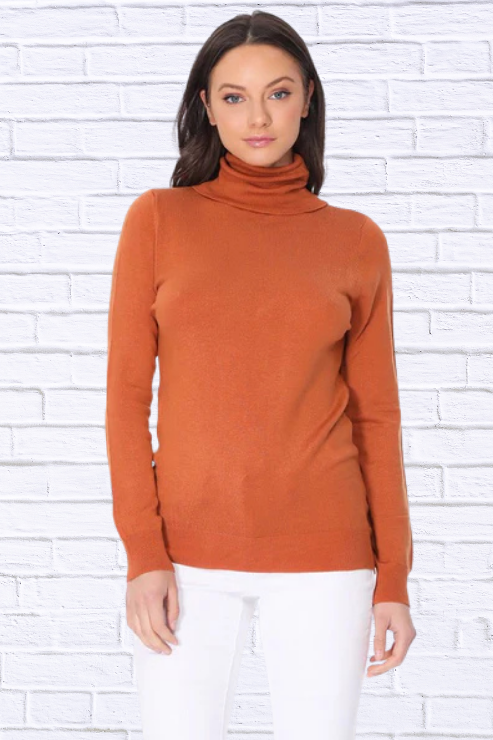 Turtleneck Spandex Stretch Pullover Sweater