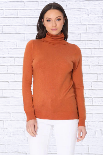 Turtleneck Spandex Stretch Pullover Sweater
