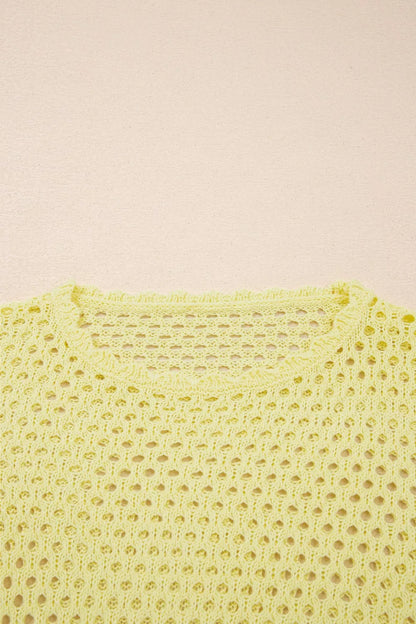 Scalloped Trim Hollow Out Knit Long Sleeve Top