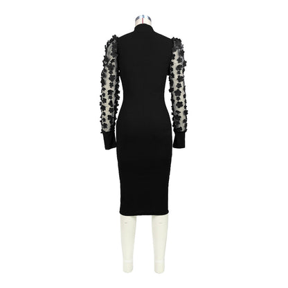 Mesh Sleeves High ollar Dress