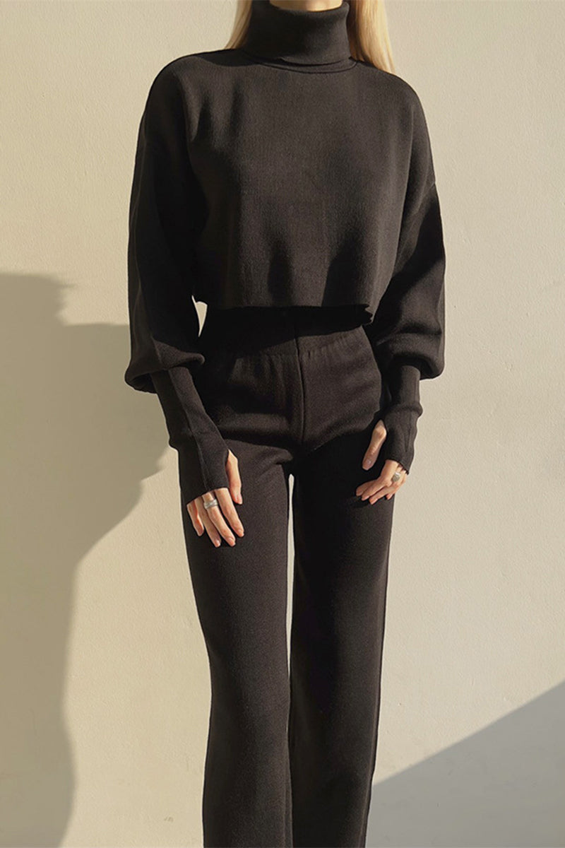 Casual Solid Turtleneck Long Sleeve Two Pieces(5 Colors) Black