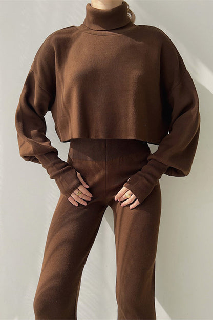 Casual Solid Turtleneck Long Sleeve Two Pieces(5 Colors) Brown