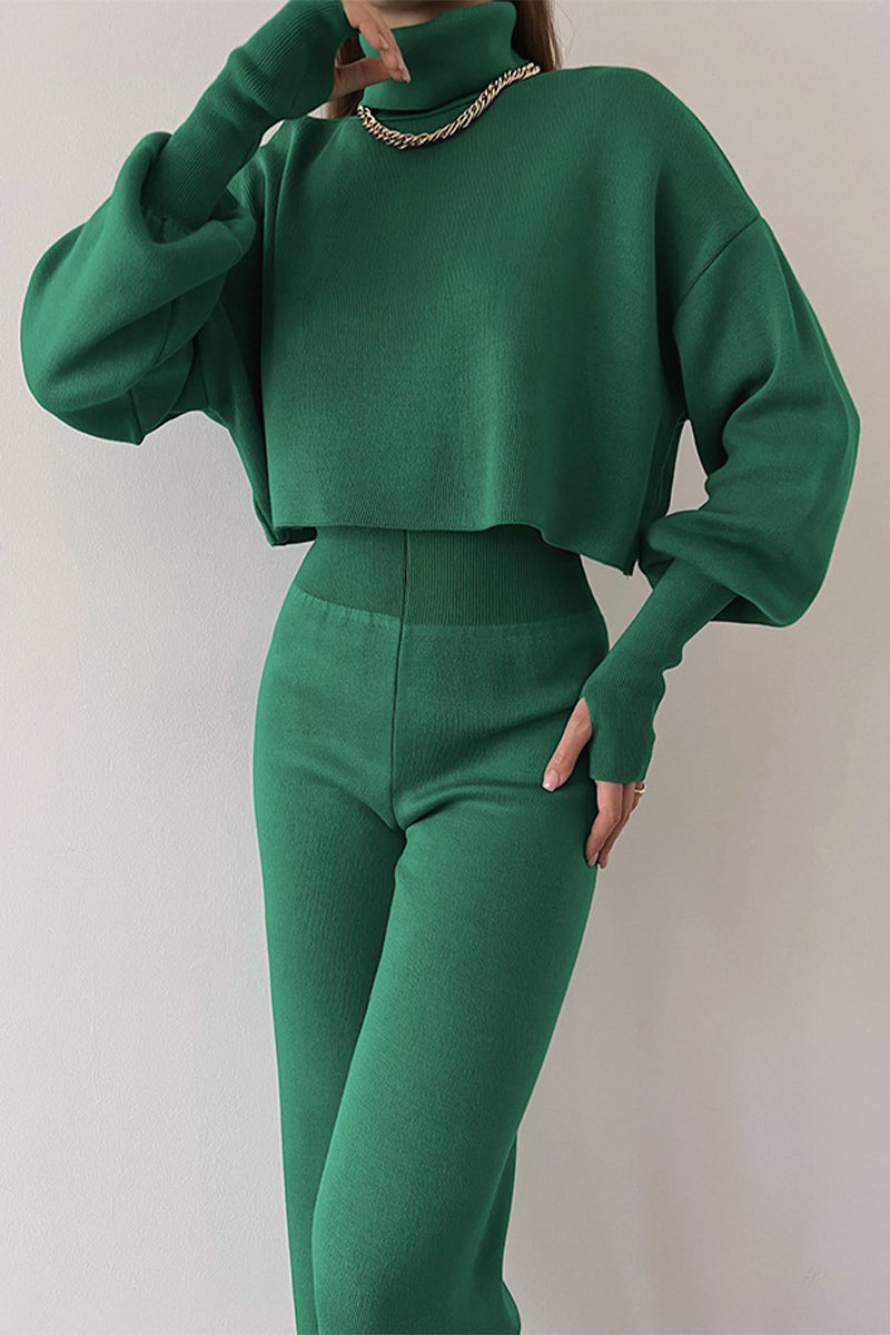 Casual Solid Turtleneck Long Sleeve Two Pieces(5 Colors) Green