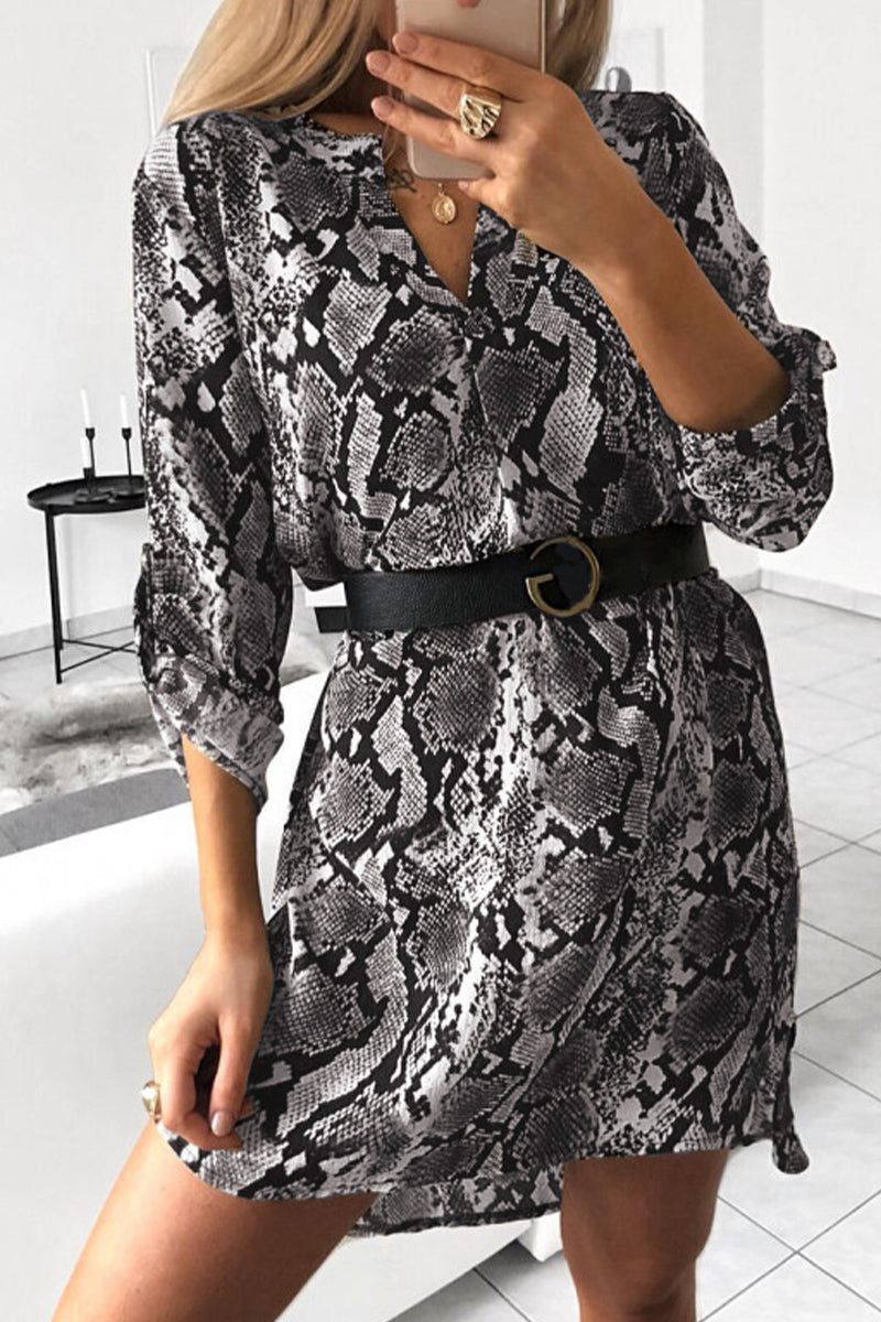 Elegant Animal Print Print Without Belt Printing V Neck Irregular Dress Dresses