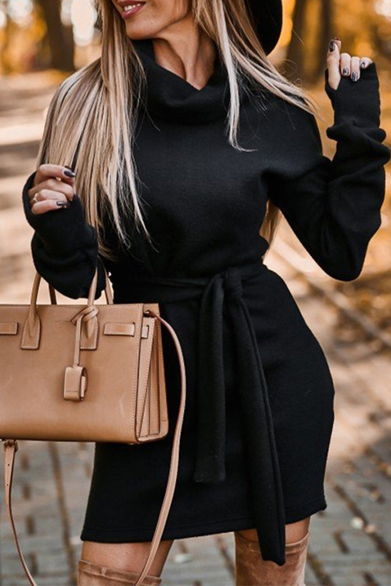 Casual Solid Frenulum Turtleneck One Step Skirt Dresses