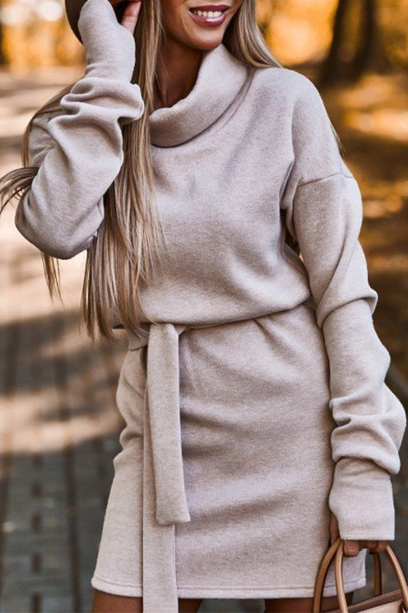 Casual Solid Frenulum Turtleneck One Step Skirt Dresses