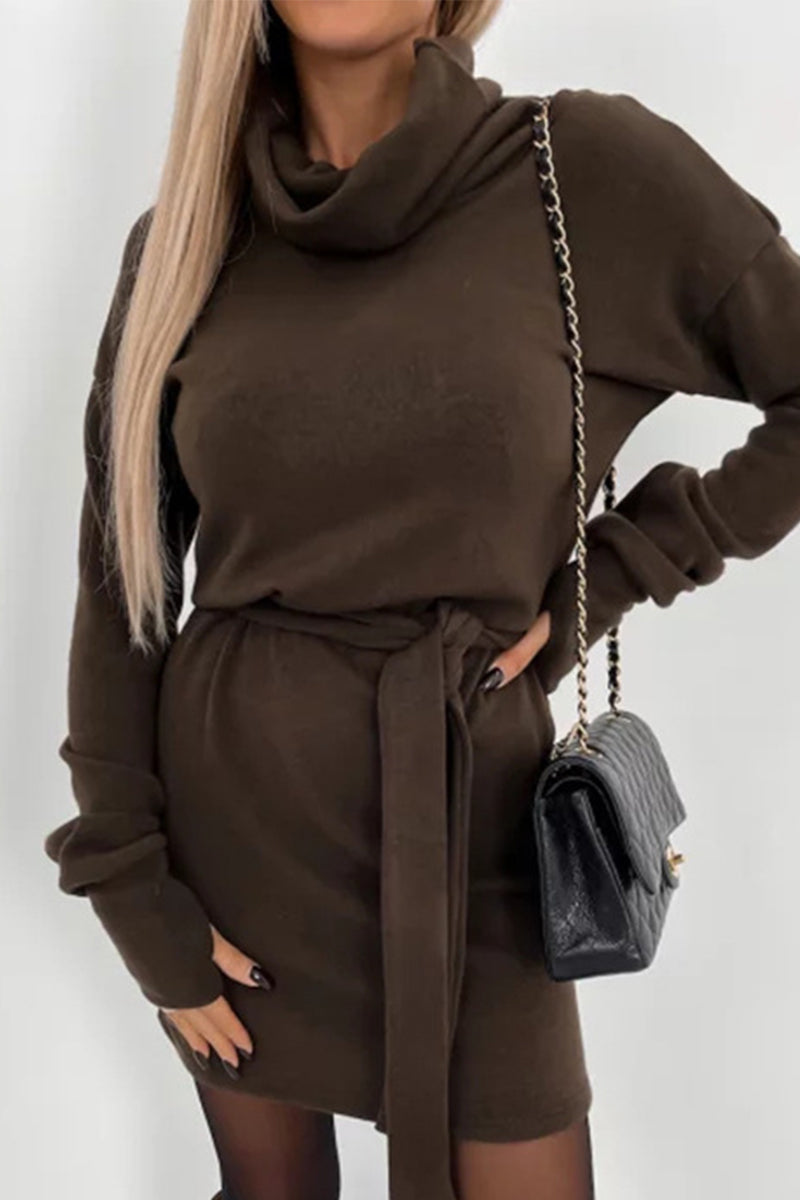 Casual Solid Frenulum Turtleneck One Step Skirt Dresses