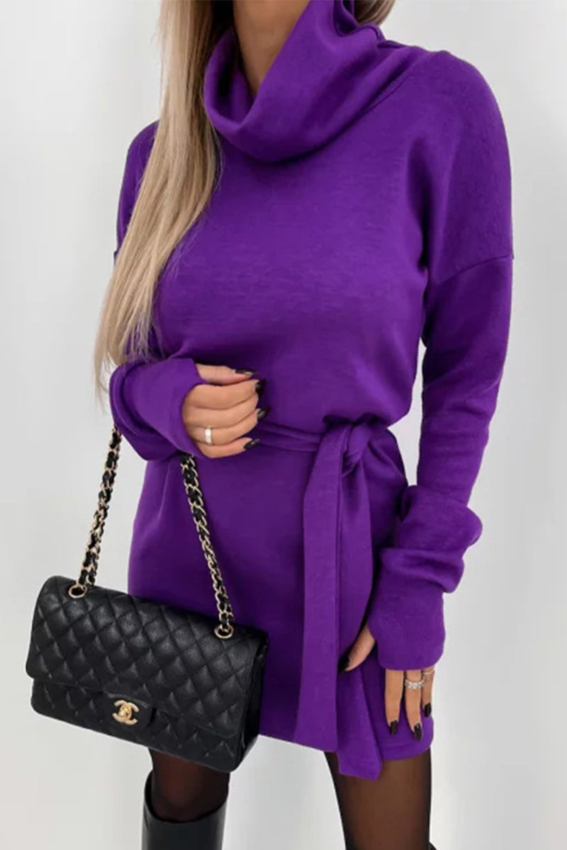 Casual Solid Frenulum Turtleneck One Step Skirt Dresses