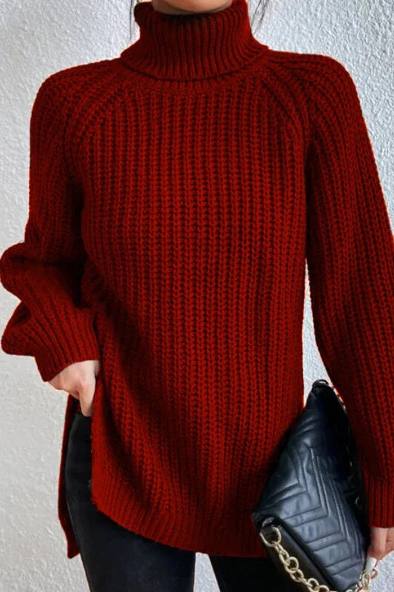 Casual Solid Basic Turtleneck Tops