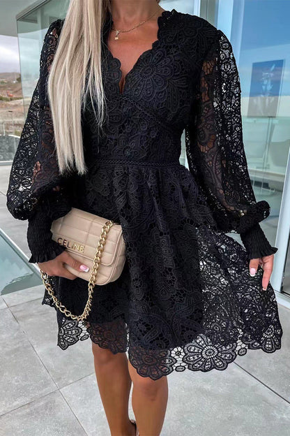 Sexy Celebrities Solid Lace Embroidered V Neck A Line Dresses