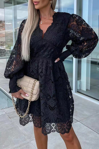 Sexy Celebrities Solid Lace Embroidered V Neck A Line Dresses