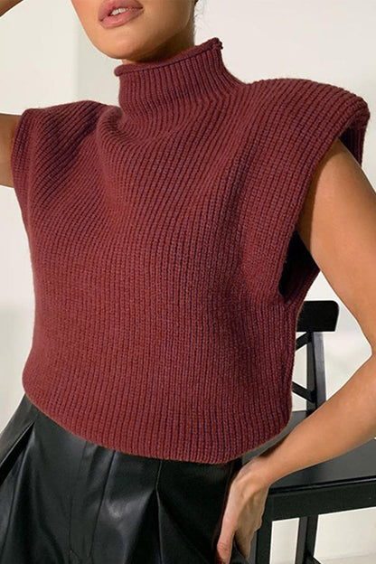 Casual Solid Turtleneck Tops Burgundy