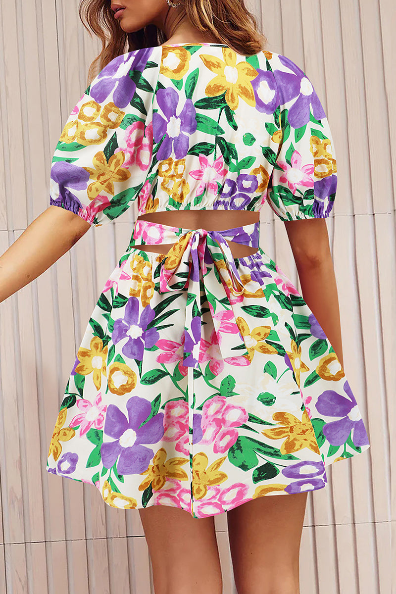 Sexy Vacation Floral Frenulum Contrast V Neck A Line Dresses