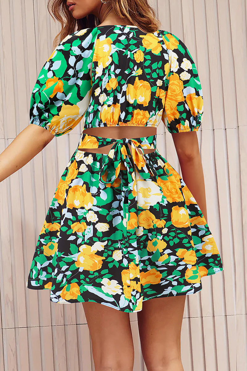 Sexy Vacation Floral Frenulum Contrast V Neck A Line Dresses