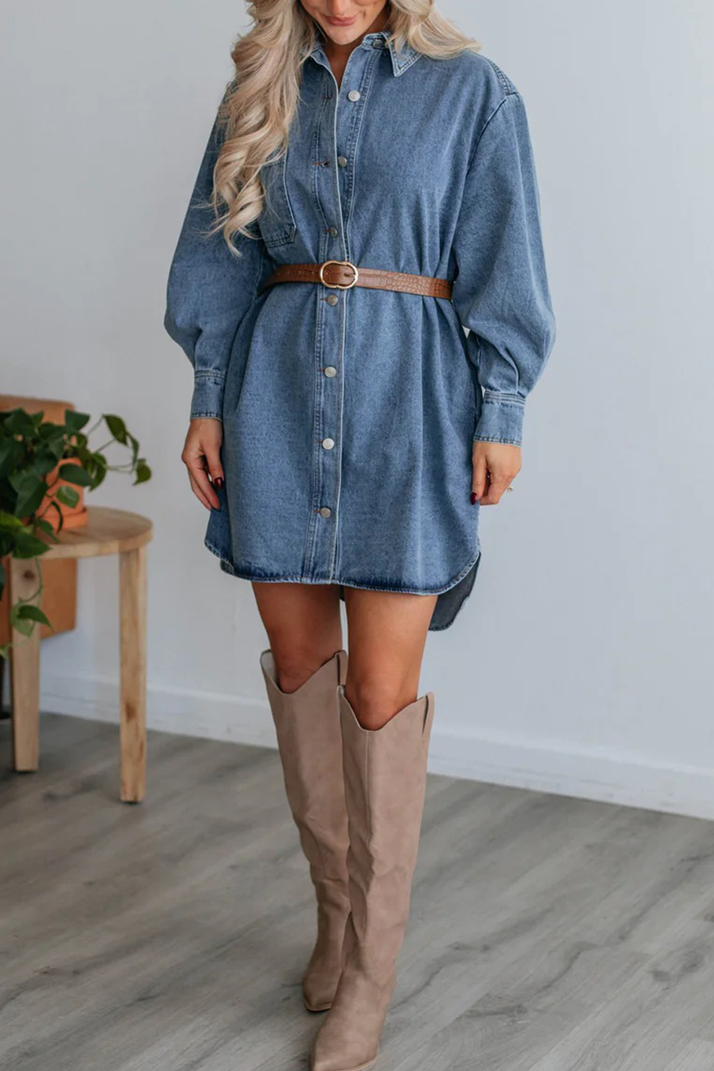 Casual Street Solid Color Distressed Pocket Buttons Turndown Collar Long Sleeve Loose Denim Dresses(No Belt)