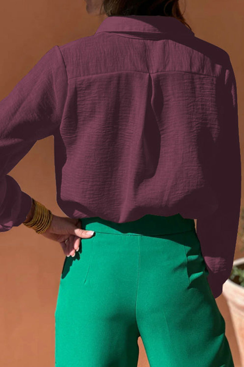 Casual Solid Color Hollow Out Turndown Collar Tops