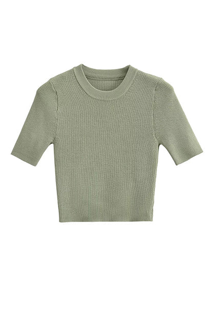 Rosiedress Crewneck Short Sleeves Ribbed Knit Top