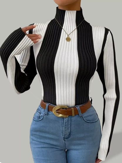 Color Block Turtleneck Ribbed Knit Top