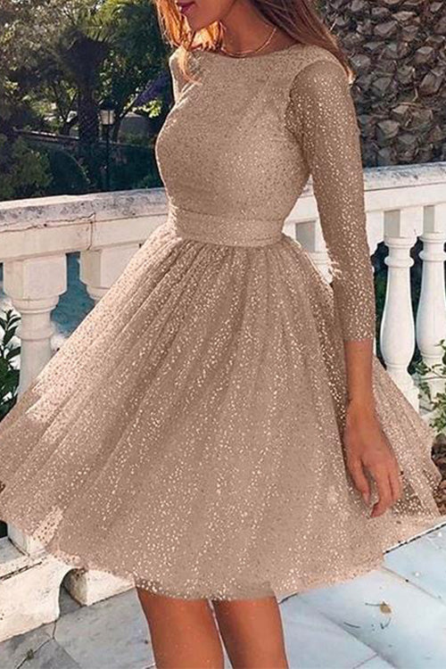 Stylish Crewneck Long Sleeve Mesh Splice Swing Dress Champagne