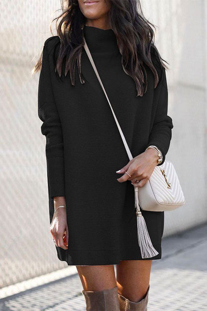 Solid Crewneck Long Sleeve Knit Dress Black