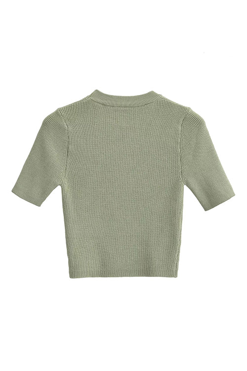 Rosiedress Crewneck Short Sleeves Ribbed Knit Top