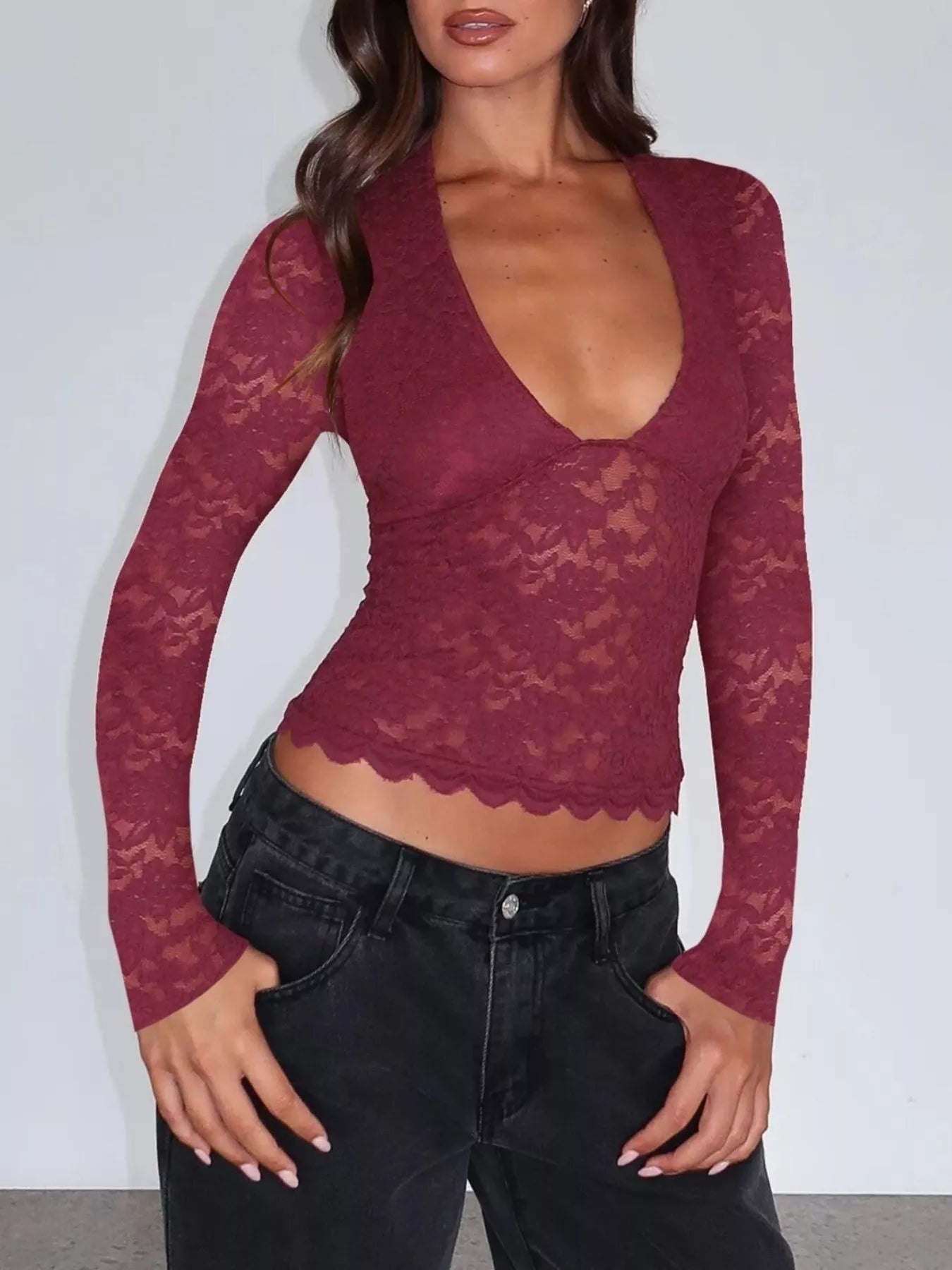 Sheer Lace Long Sleeve V-Neck Top