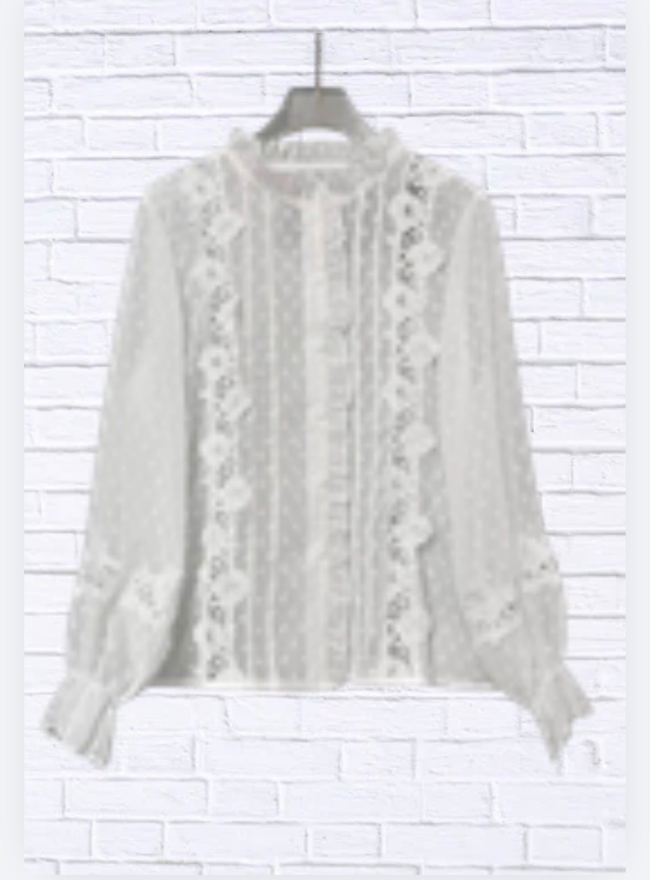 Lace Trimmed Swiss Dot Shirt