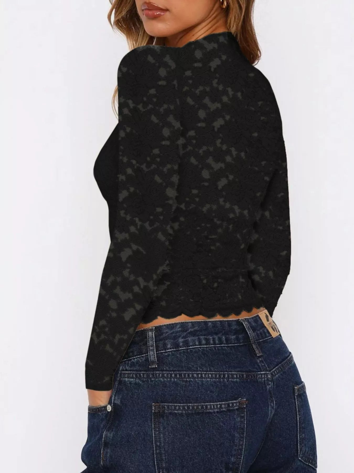 Sheer Lace Long Sleeve V-Neck Top
