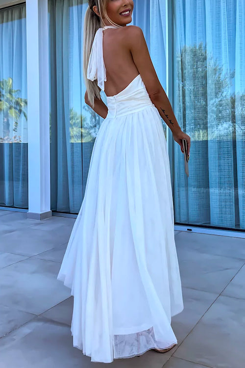 Rosiedress Halter Backless Waisted Tulle Maxi Dress