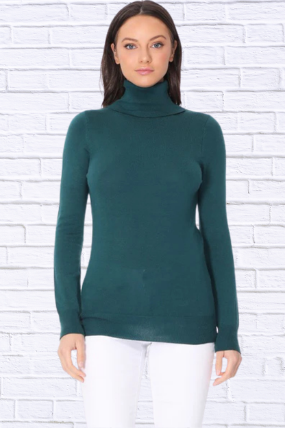 Turtleneck Spandex Stretch Pullover Sweater