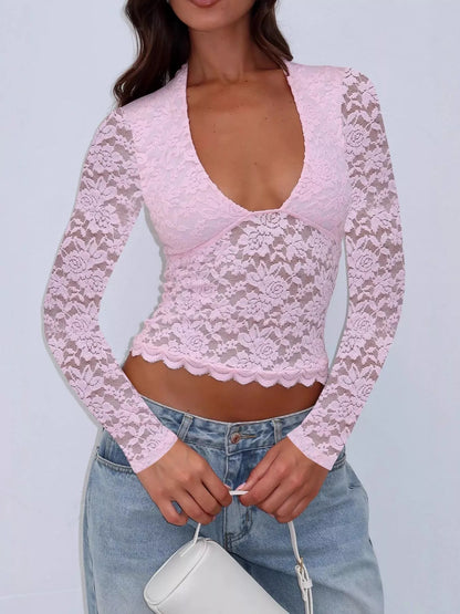 Sheer Lace Long Sleeve V-Neck Top
