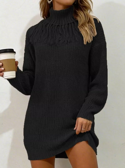Full Size Turtleneck Fringe Detail Sweater Dress Plus Size