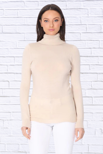 Turtleneck Spandex Stretch Pullover Sweater