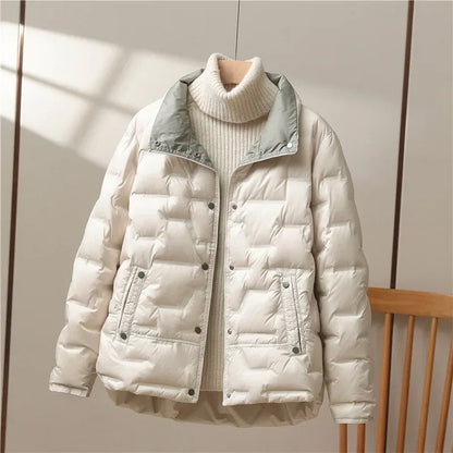 High Collar Quilted Down Jacket