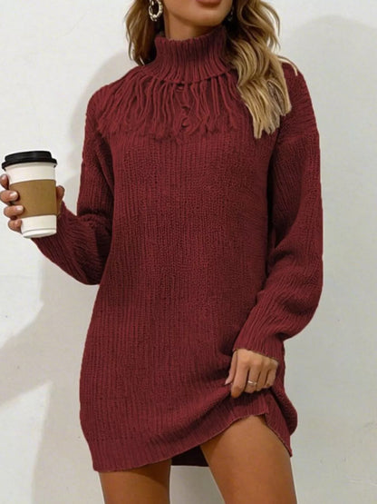 Full Size Turtleneck Fringe Detail Sweater Dress Plus Size