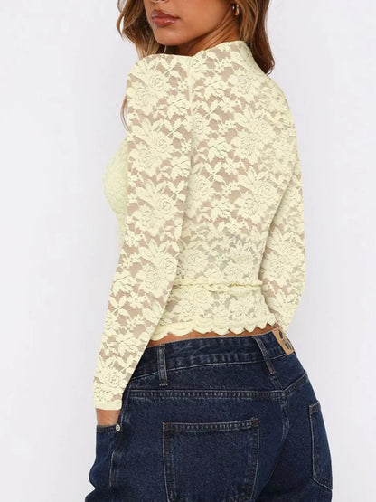 Sheer Lace Long Sleeve V-Neck Top
