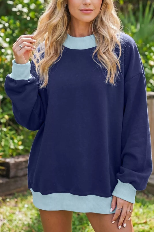 Colorblock Trim Crewneck Long Sleeve Pullover Sweatshirt