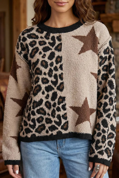 Leopard Star Pattern Round Neck Long Sleeve Shift Sweater