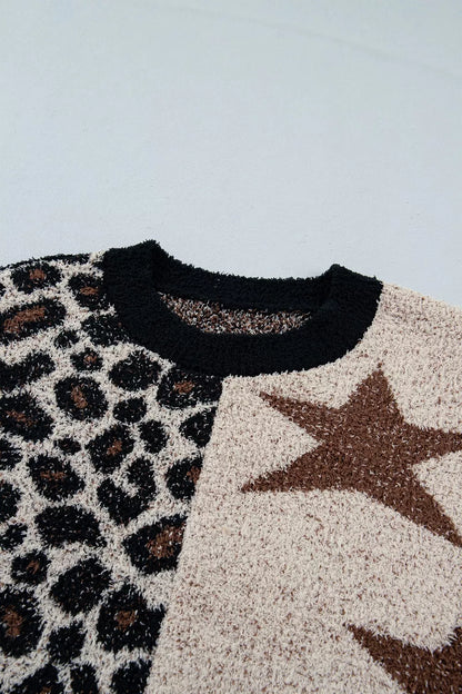 Leopard Star Pattern Round Neck Long Sleeve Shift Sweater