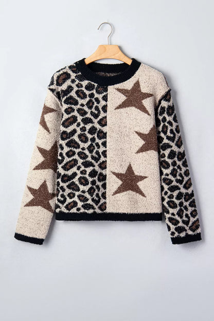 Leopard Star Pattern Round Neck Long Sleeve Shift Sweater